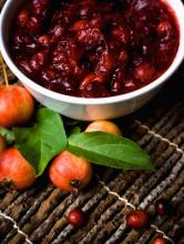 Spicy Cranberry Dip Photo